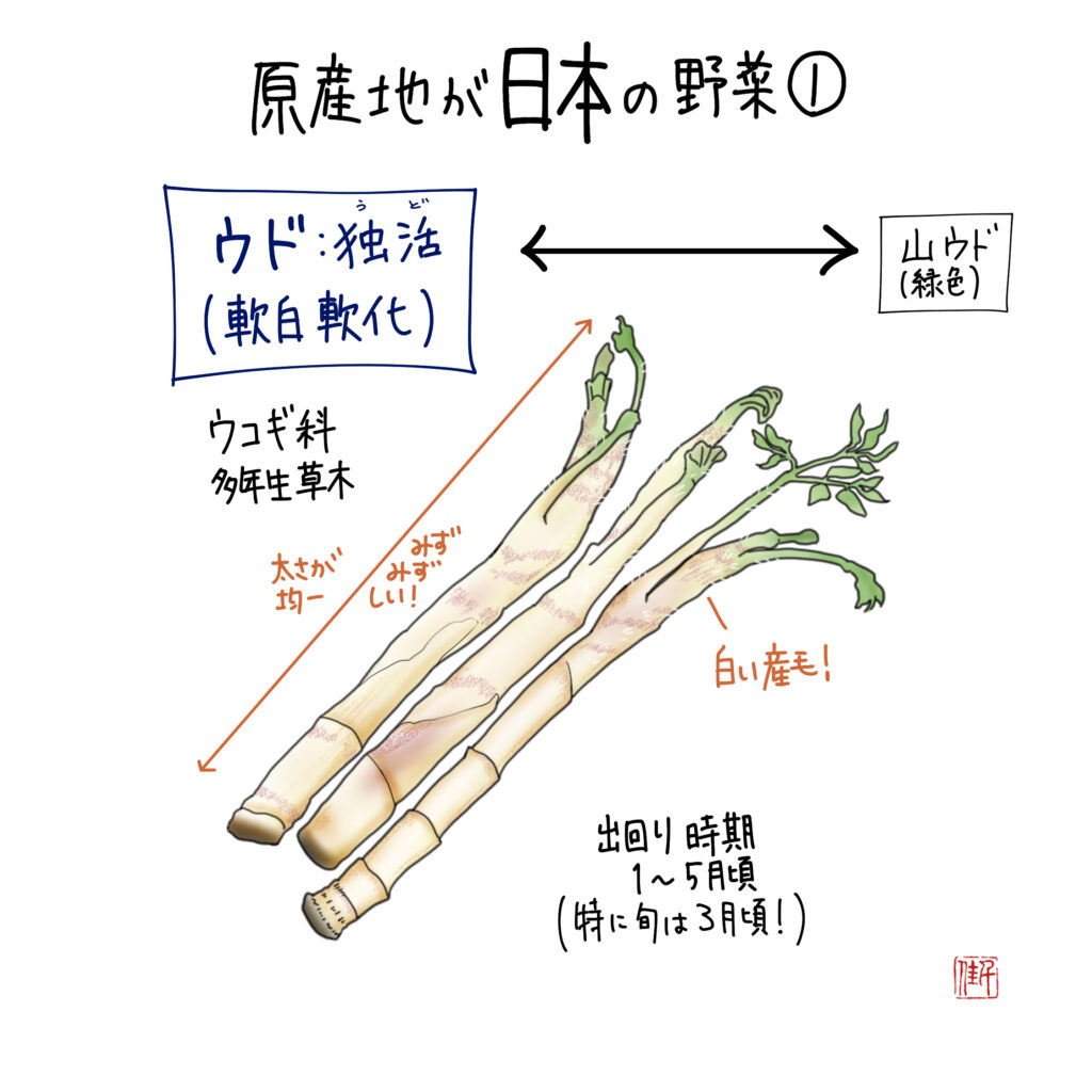 野菜のヒミツ、知ってる？【ウド】