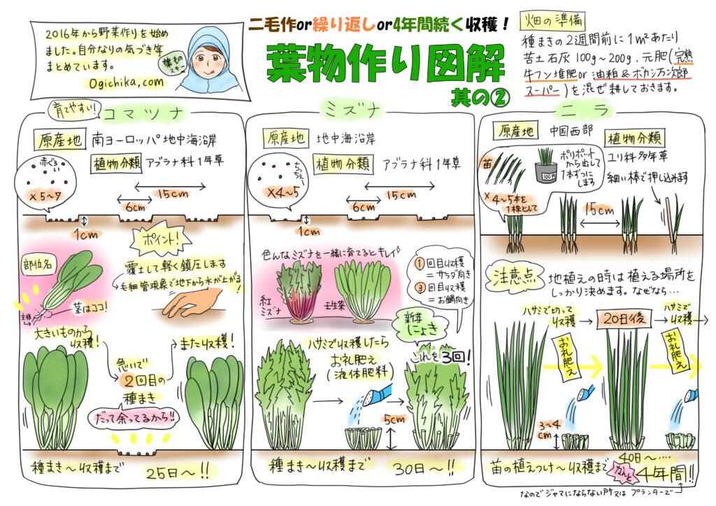 野菜作り図解【葉物3点Vol.2】公開しています！
