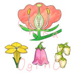 草花のイラストを描かせていただきました（JTBパブリッシングさま発行/「これ何？がわかる草花図鑑」)